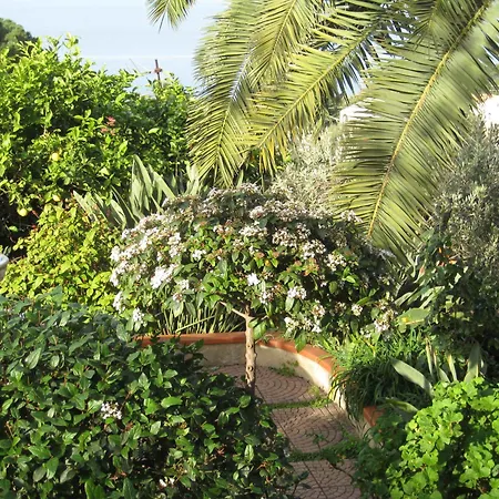 ゲストハウス Bagno In Comune Sea View