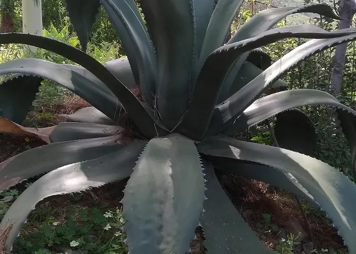 Bagno In Comune Sea View Πανσιόν *